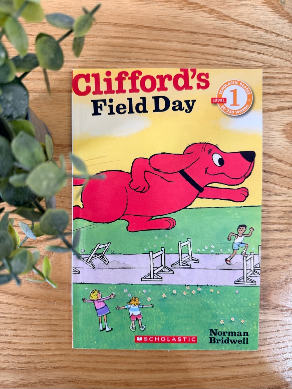 🌿10/$25 • Clifford’s Field Trip Easy Reader Paperback